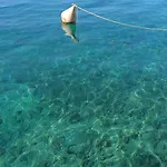 Mate Starigrad Paklenica