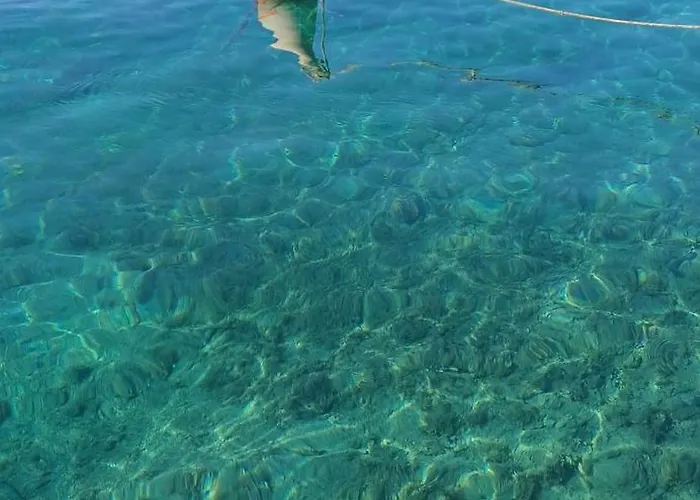 Mate Starigrad Paklenica